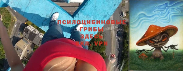 spice Алзамай