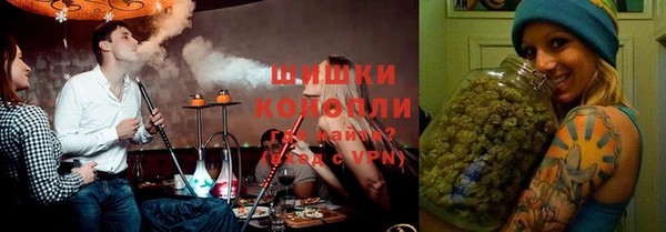 spice Алзамай