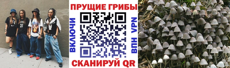 цены   Сургут  Псилоцибиновые грибы Magic Shrooms 